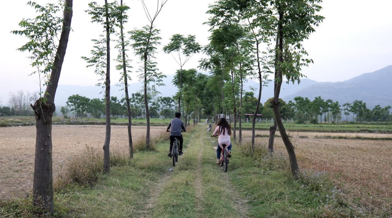 Sukoon - A Wellness Resort, Uttarakhand Chuharpur エクステリア 写真