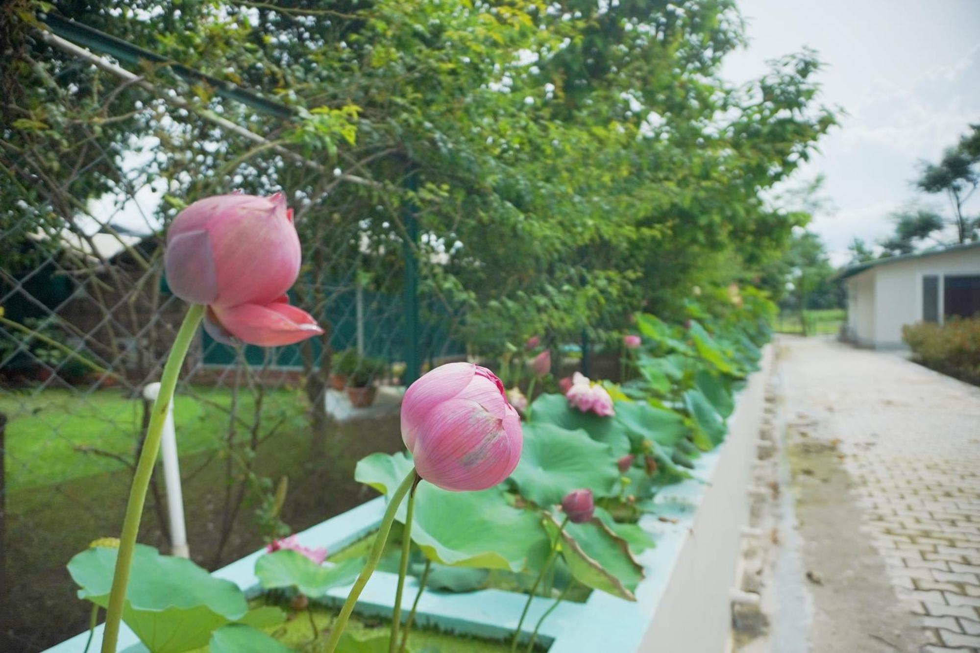 Sukoon - A Wellness Resort, Uttarakhand Chuharpur エクステリア 写真